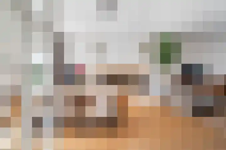 Doornenburg 7 Alphen aan den Rijn thumbnail 13