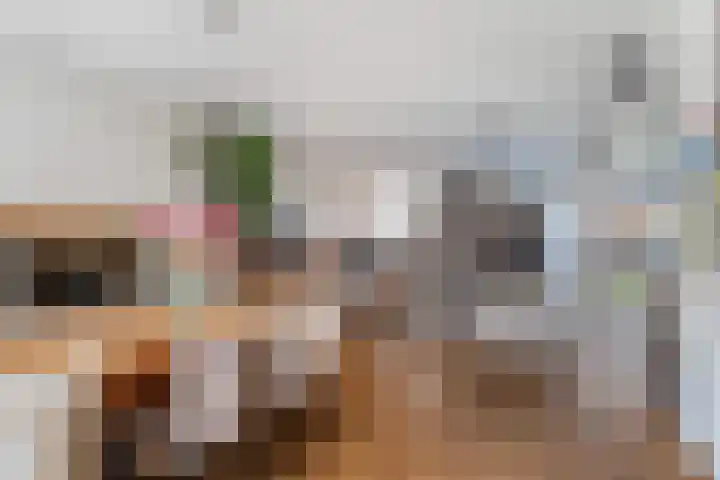 Doornenburg 7 Alphen aan den Rijn thumbnail 14