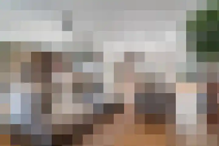 Doornenburg 7 Alphen aan den Rijn thumbnail 15