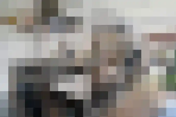 Doornenburg 7 Alphen aan den Rijn thumbnail 29