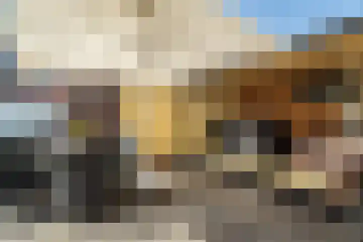 Doornenburg 7 Alphen aan den Rijn thumbnail 32