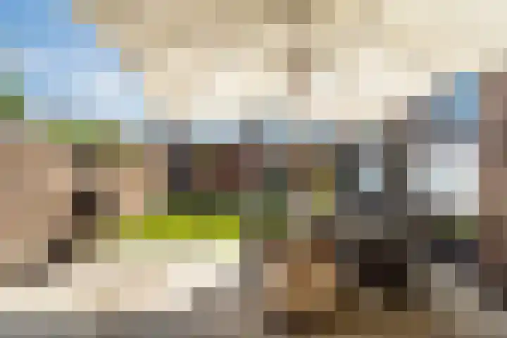 Doornenburg 7 Alphen aan den Rijn thumbnail 34