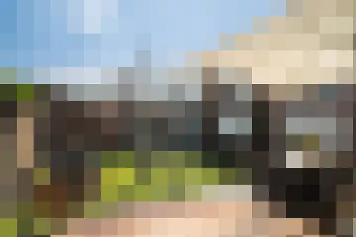Doornenburg 7 Alphen aan den Rijn thumbnail 35