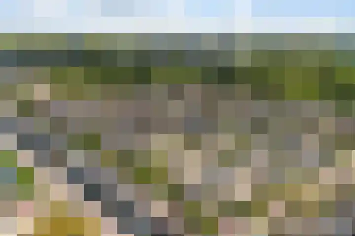 Doornenburg 7 Alphen aan den Rijn thumbnail 4
