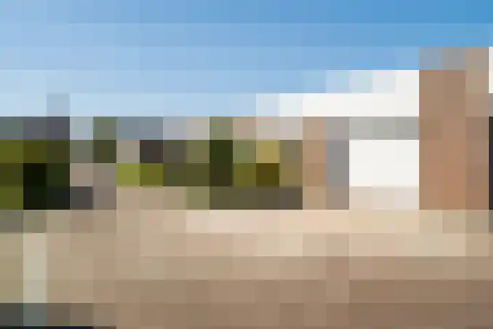 Doornenburg 7 Alphen aan den Rijn thumbnail 5