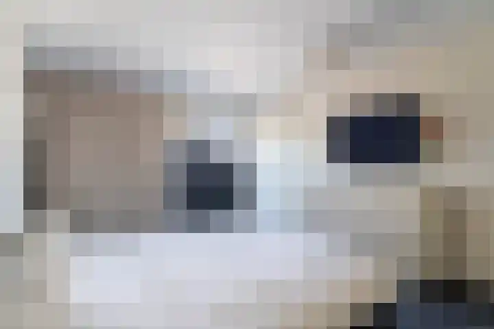 Doornenburg 7 Alphen aan den Rijn thumbnail 52
