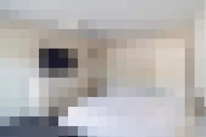 Doornenburg 7 Alphen aan den Rijn thumbnail 54