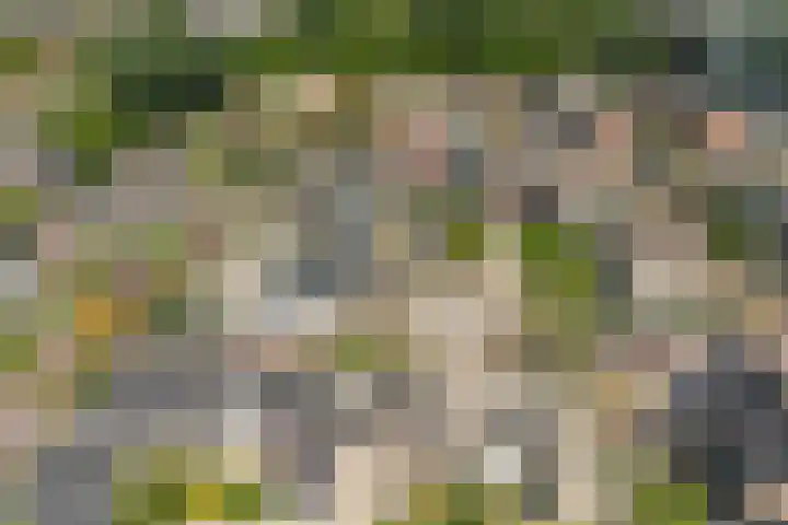 Doornenburg 7 Alphen aan den Rijn thumbnail 63
