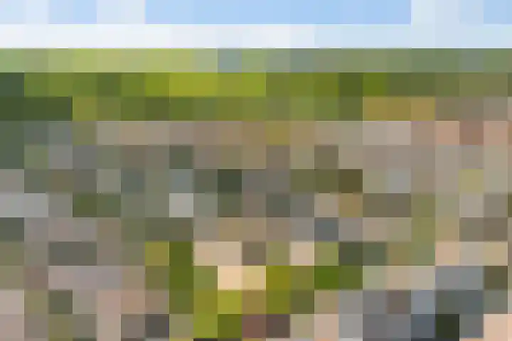 Doornenburg 7 Alphen aan den Rijn thumbnail 66