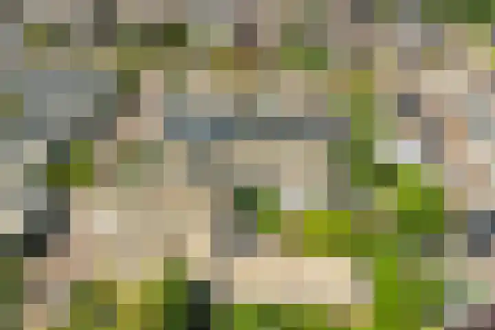 Doornenburg 7 Alphen aan den Rijn thumbnail 67