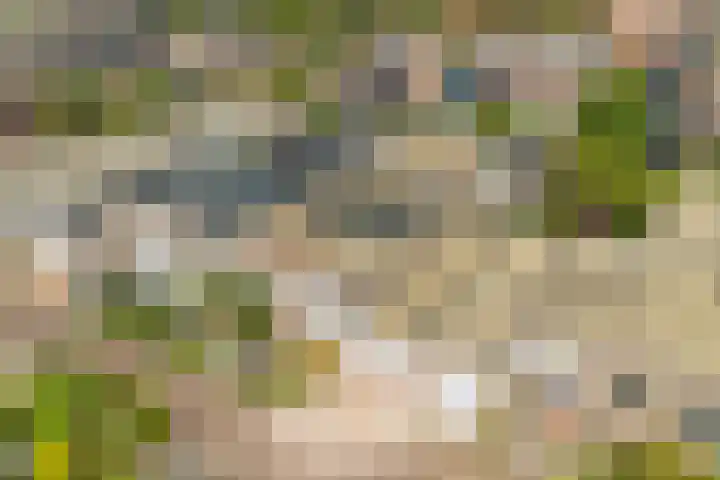 Doornenburg 7 Alphen aan den Rijn thumbnail 68