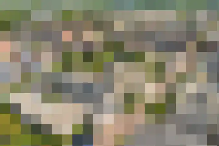 Doornenburg 7 Alphen aan den Rijn thumbnail 69