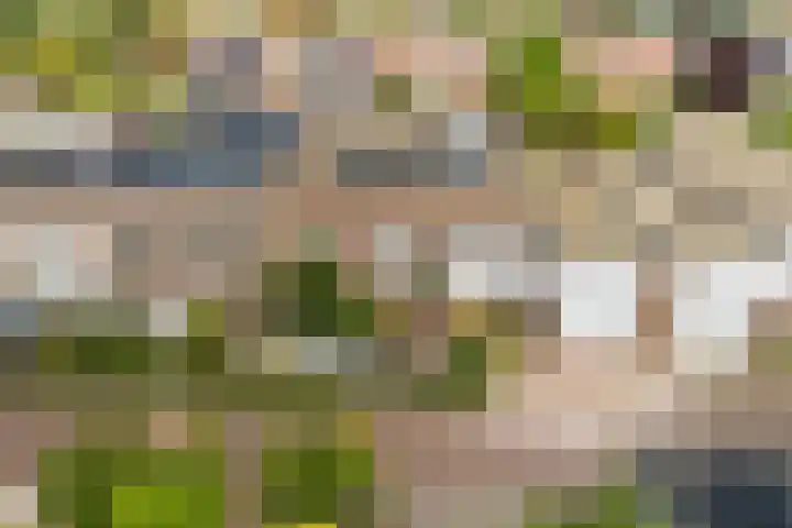 Doornenburg 7 Alphen aan den Rijn thumbnail 70