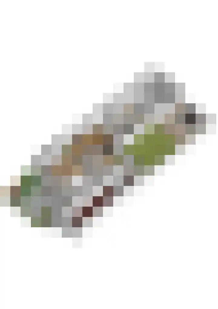 Doornenburg 7 Alphen aan den Rijn thumbnail 76