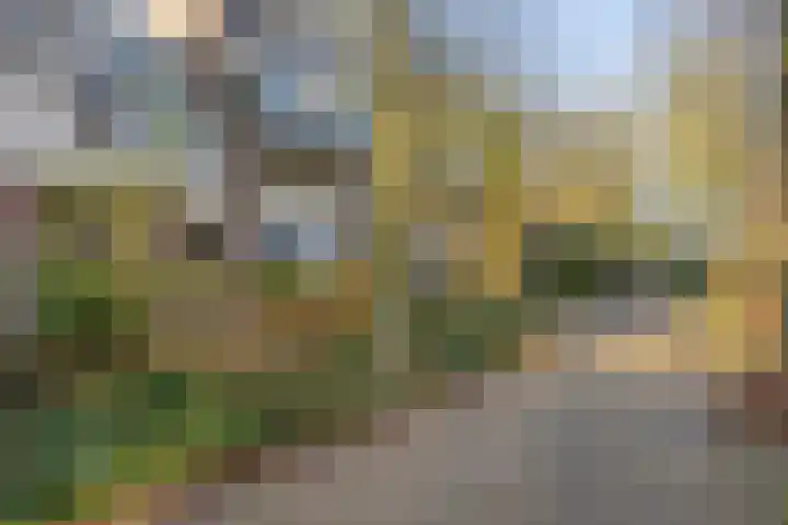 Doornenburg 710 Deventer thumbnail 23