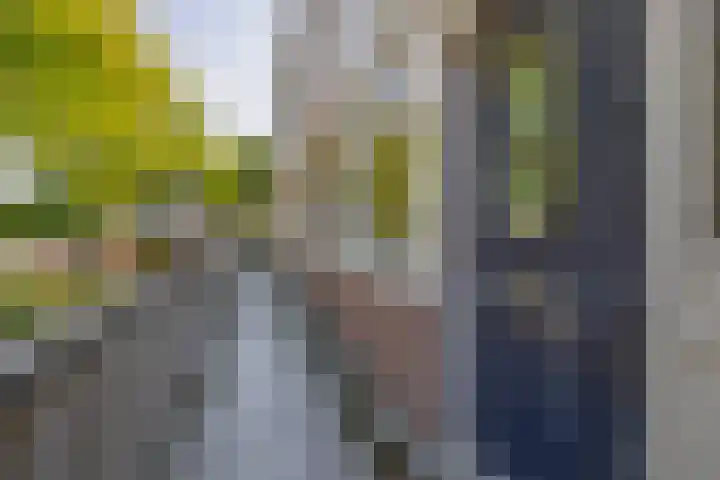 Doornenburg 815 Deventer thumbnail 5