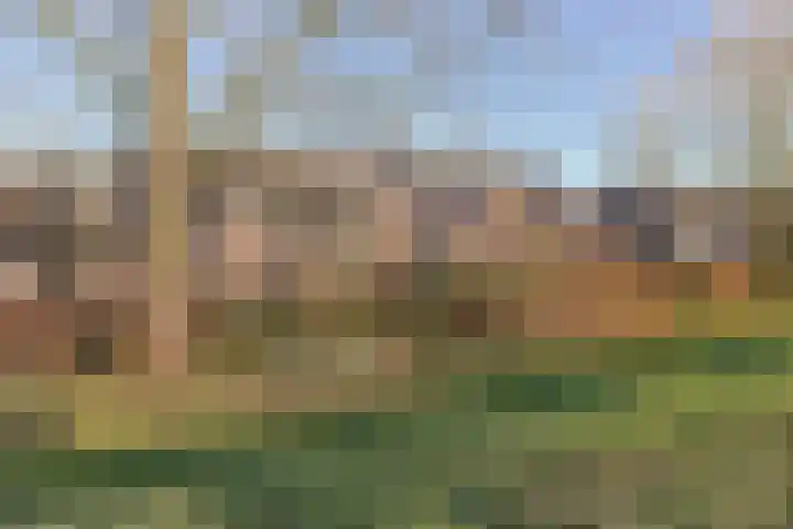 Doornenburg 86 in Alphen aan den Rijn