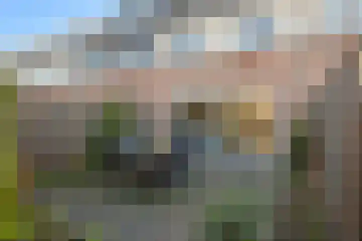 Doornenburg 86 Alphen aan den Rijn thumbnail 38
