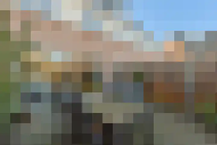 Doornenburg 86 Alphen aan den Rijn thumbnail 39