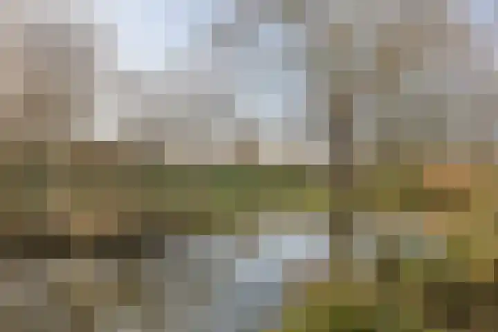 Doornenburg 86 Alphen aan den Rijn thumbnail 43
