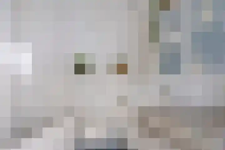 Doornenburg 90 Barneveld thumbnail 26