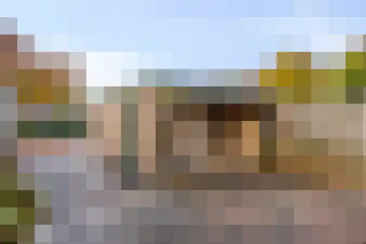 Doornenburg 90 Barneveld thumbnail 37