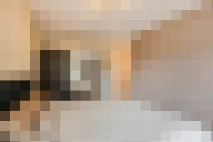 Doornenburgallee 21 Duiven thumbnail 16