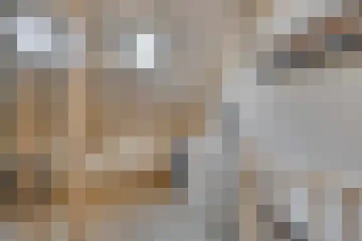 Doornenburgallee 21 Duiven thumbnail 23