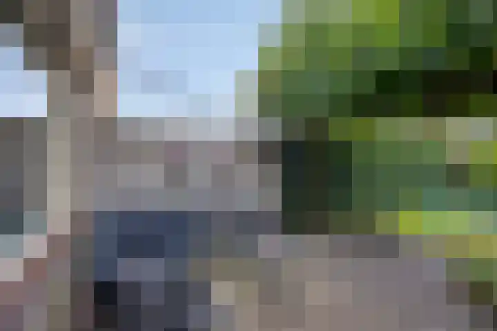 Doornenburgallee 21 Duiven thumbnail 26
