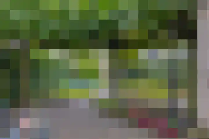 Doornenburgallee 21 Duiven thumbnail 27