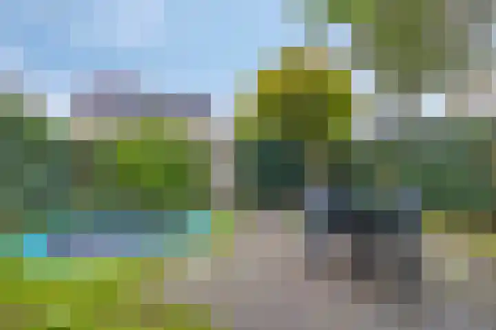 Doornenburgallee 21 Duiven thumbnail 28