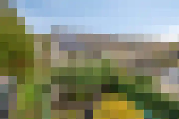 Doornenburgallee 21 Duiven thumbnail 31
