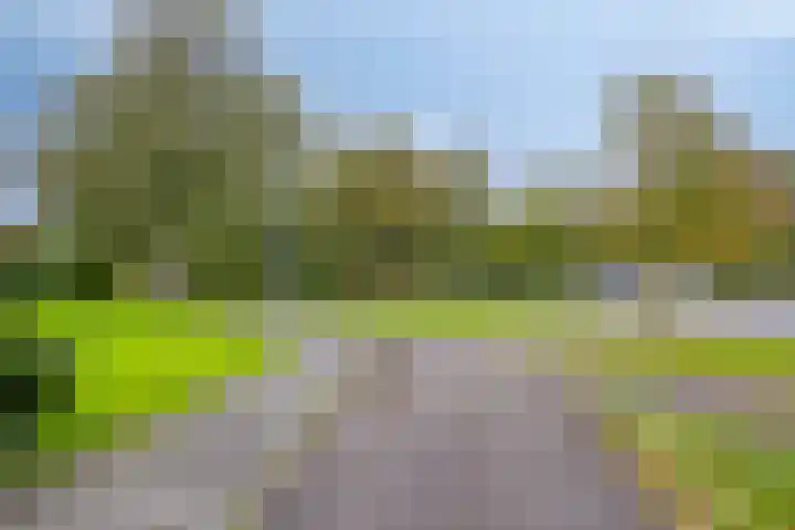Doornenburgallee 21 Duiven thumbnail 32