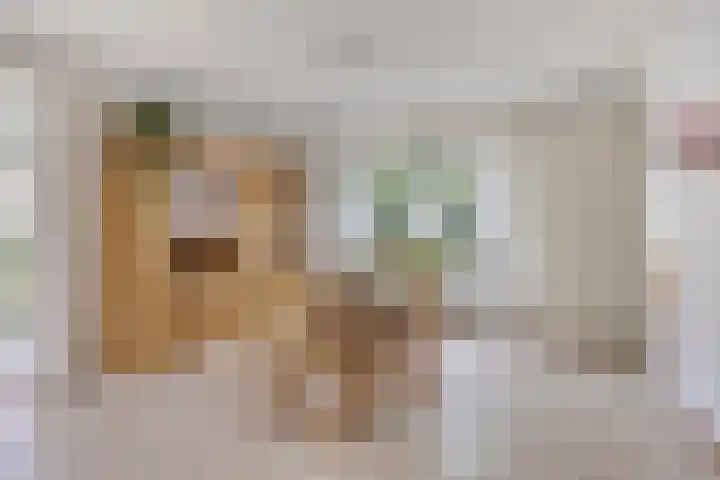 Doornenburgallee 4 Duiven thumbnail 11