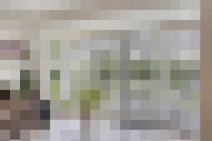 Doornenburgallee 4 Duiven thumbnail 14