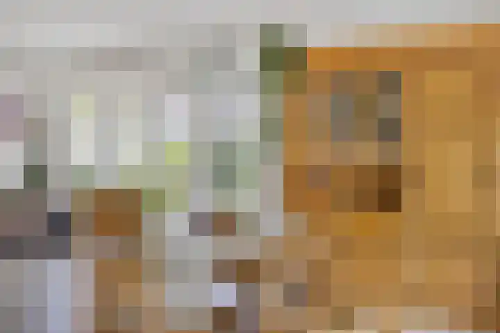 Doornenburgallee 4 Duiven thumbnail 17