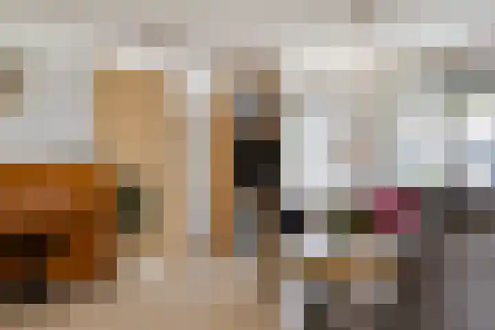 Doornenburgallee 4 Duiven thumbnail 22