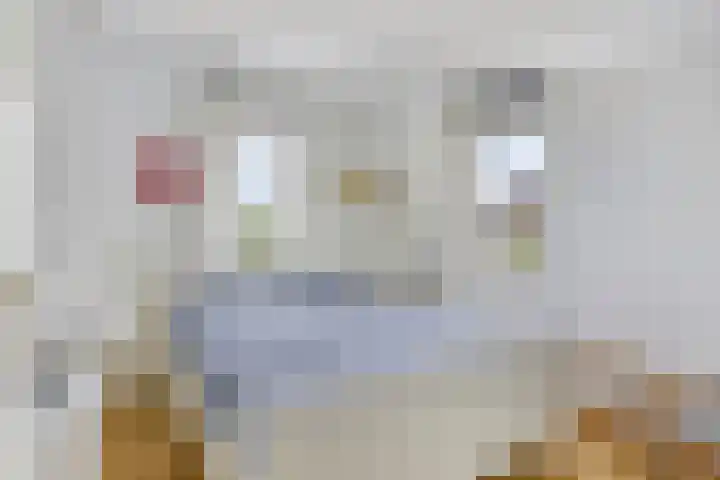 Doornenburgallee 4 Duiven thumbnail 24