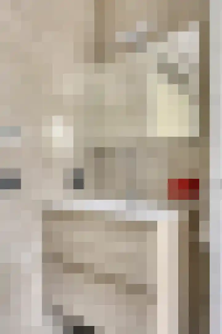 Doornenburgallee 4 Duiven thumbnail 27