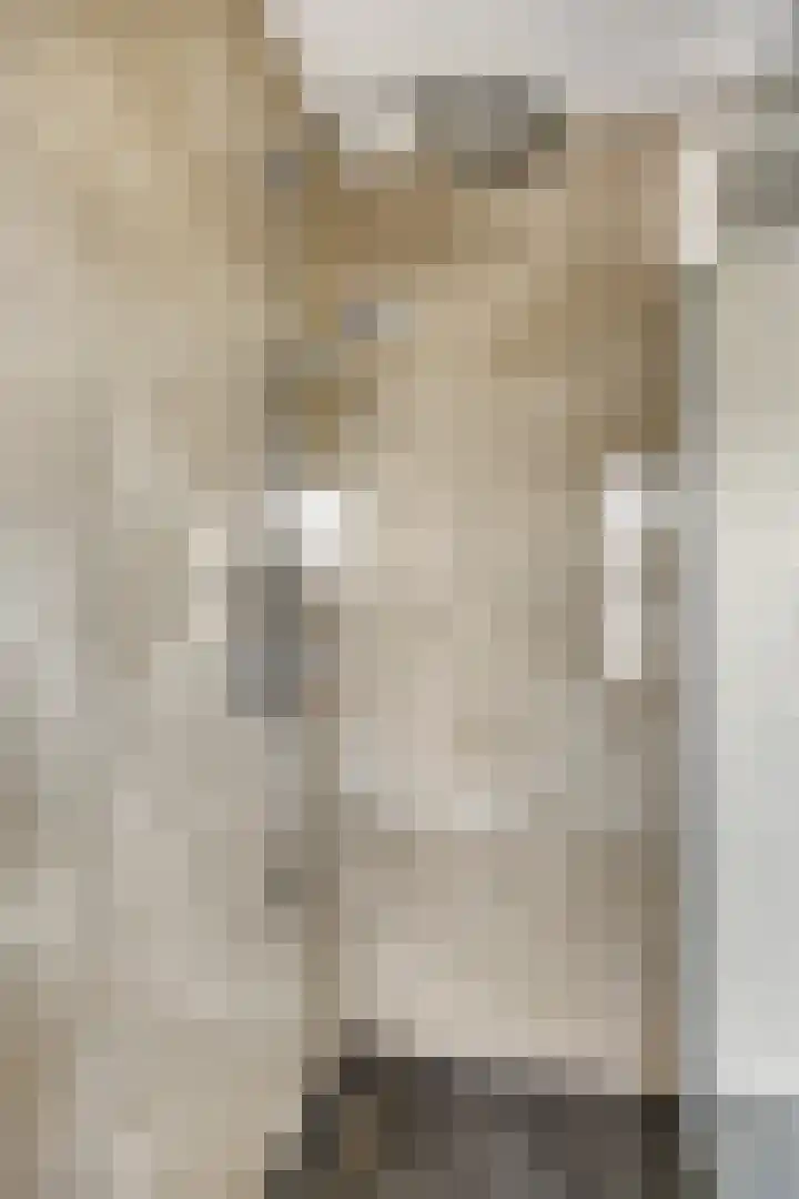 Doornenburgallee 4 Duiven thumbnail 29