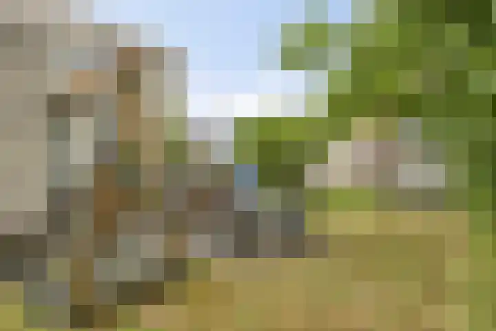 Doornenburgallee 4 Duiven thumbnail 32