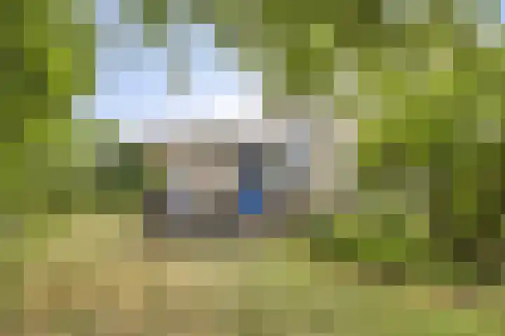 Doornenburgallee 4 Duiven thumbnail 33