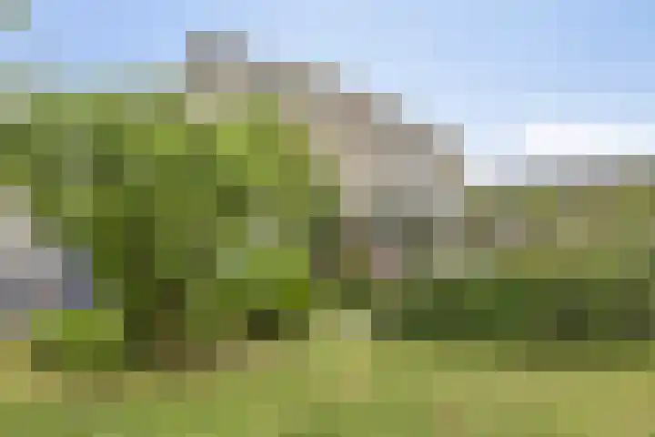 Doornenburgallee 4 Duiven thumbnail 34