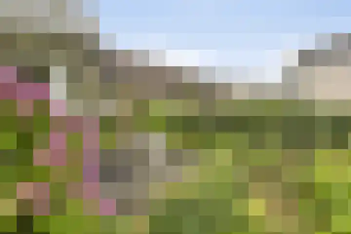 Doornenburgallee 4 Duiven thumbnail 35