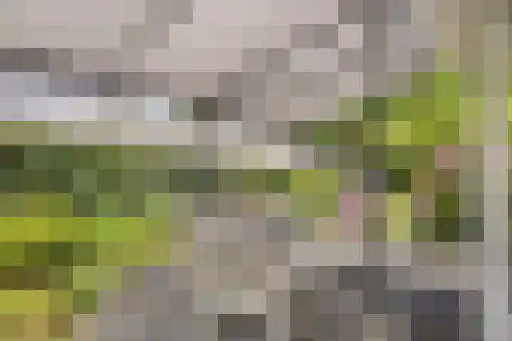 Doornenburgallee 4 Duiven thumbnail 36