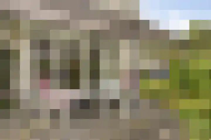 Doornenburgallee 4 Duiven thumbnail 37