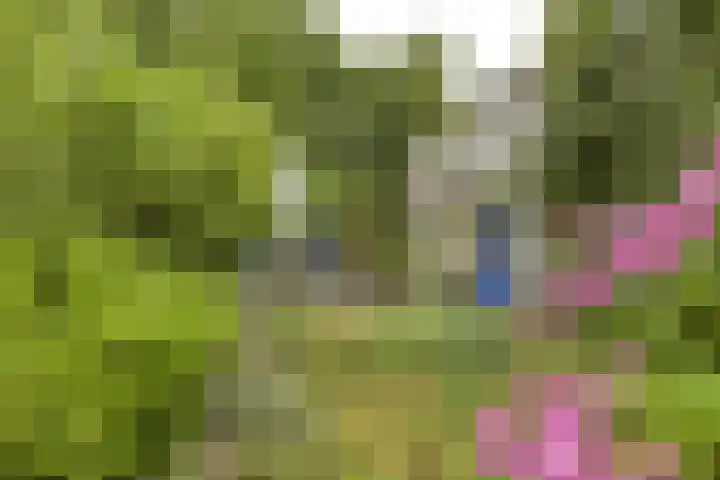 Doornenburgallee 4 Duiven thumbnail 38