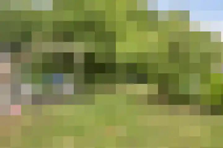 Doornenburgallee 4 Duiven thumbnail 39