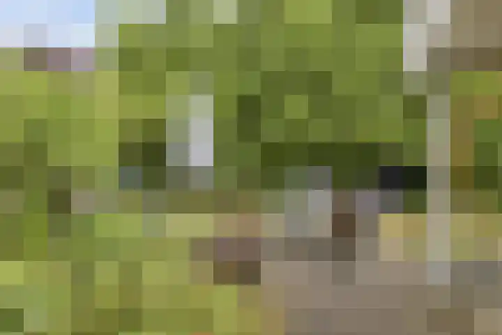 Doornenburgallee 4 Duiven thumbnail 41