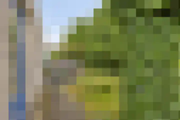 Doornenburgallee 4 Duiven thumbnail 43